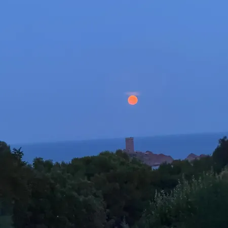 Ecrin De L'île D'or *